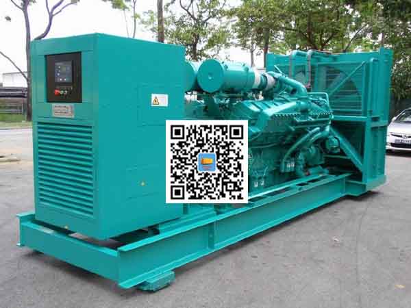 滦平租赁发电机-康明斯发电机性价比还是比较高的